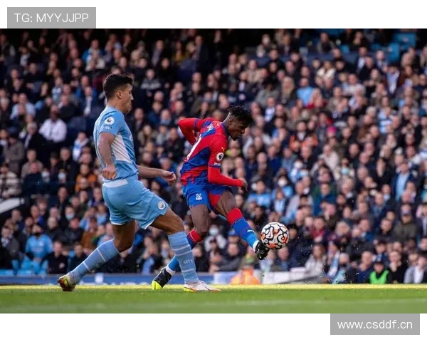 英超本赛季水晶宫